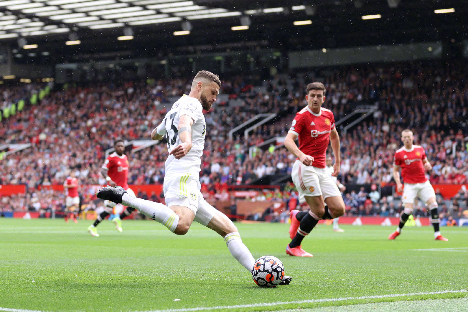 这些迥异的 这些迥异的